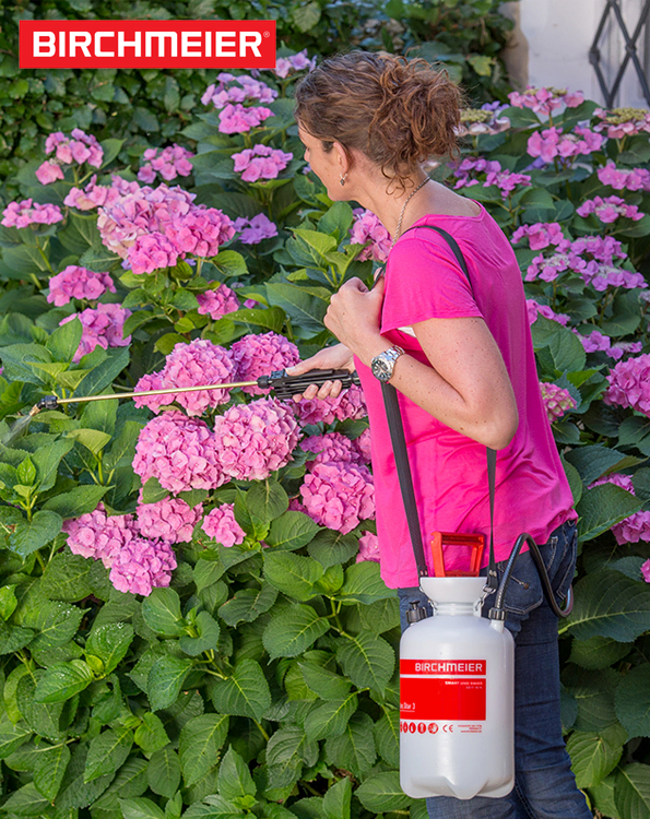 Birchmeier Garden Star Drukspuit voor tuin 3L 