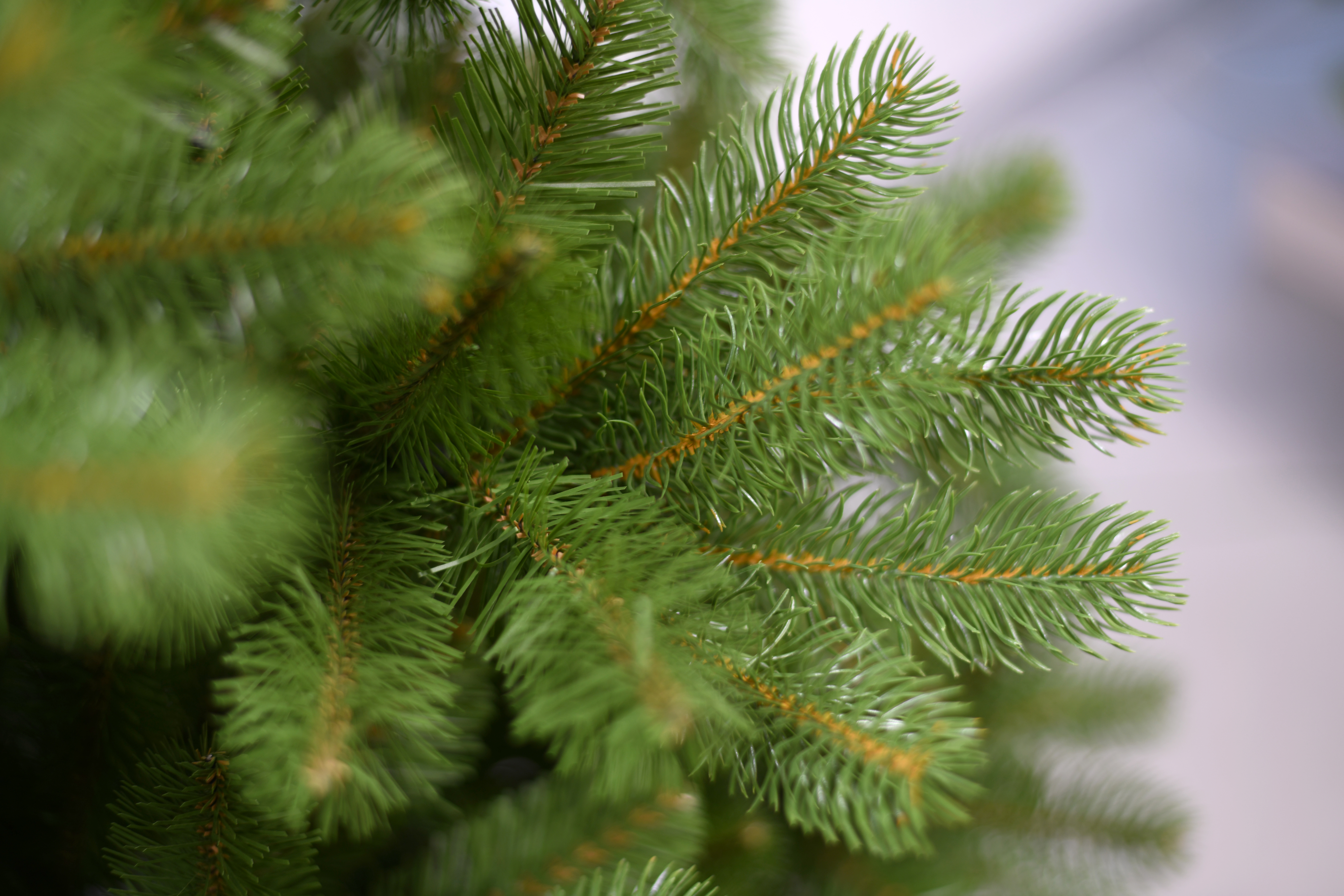 Namaak kerstboom Northern Bayberry Medium 183 cm