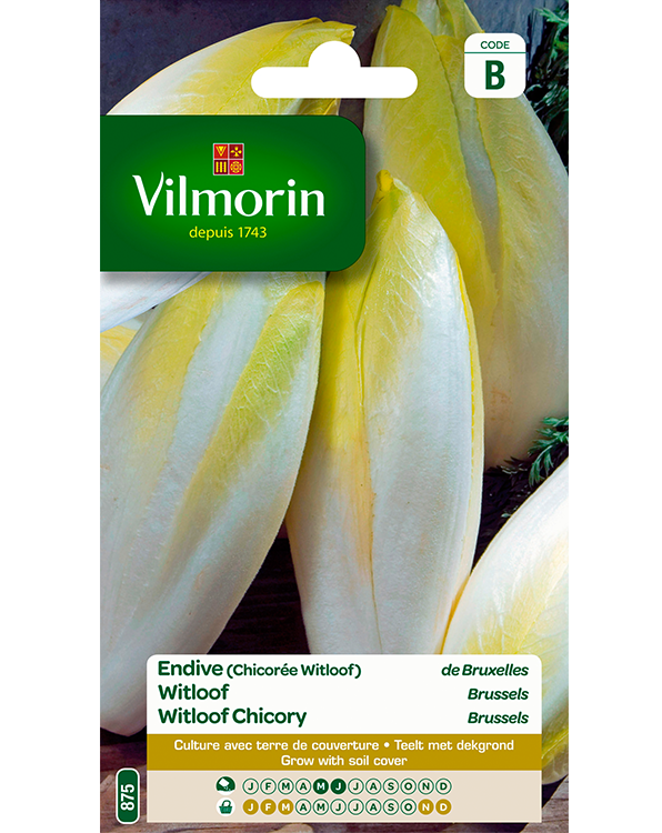 Vilmorin Witloof zaden Brussels 6g