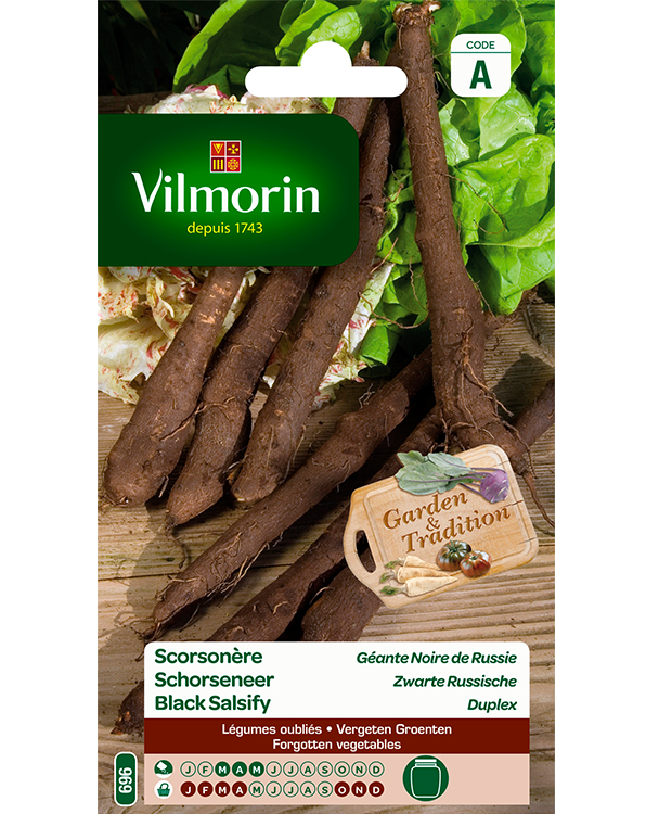 Vilmorin Schorseneer zaden Zwarte Russische 5g