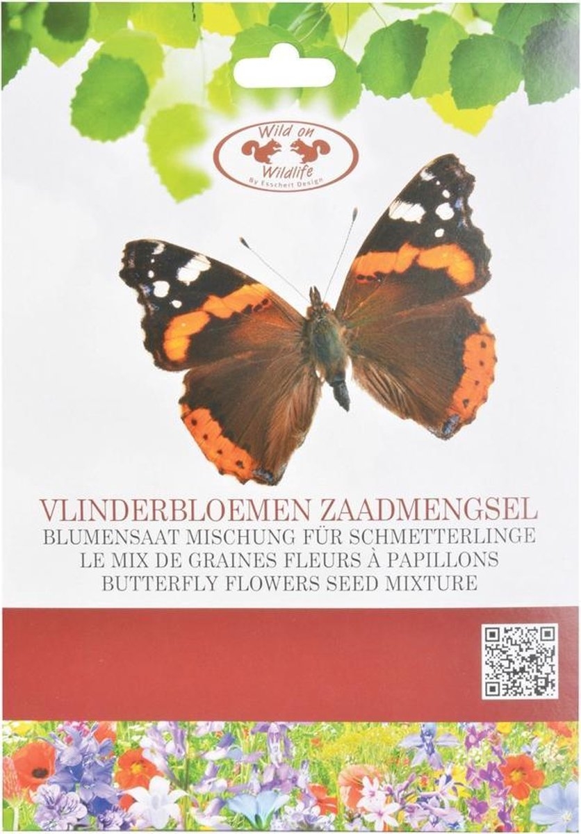 Bloemen die vlinders aantrekken