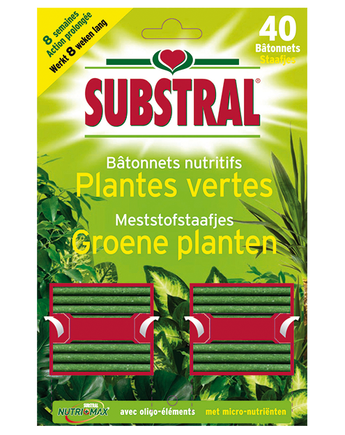 Substral Meststofstaafjes voor Groene Planten 40stuks 