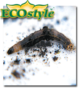 Ecostyle Aaltjes om emelten te bestrijden 10m²