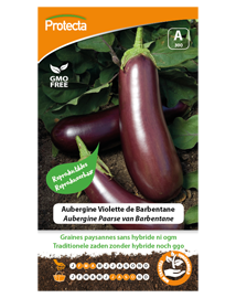 Zaadvast Aubergine Zaden Paarse van Barbentane