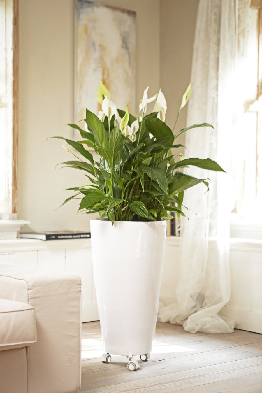 Universal Planttaxi Plantentrolleys 26-40 cm met 3 armen Wit Elho