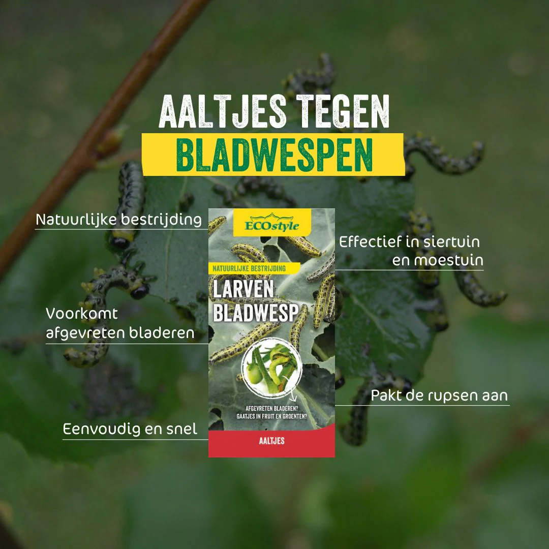 Weg met larven van bladwespen! ECOstyle Aaltjes voor een gezonde tuin 🐛
