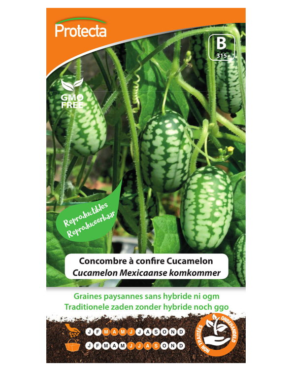 Zaadvaste Cucamelon Mexicaanse komkommer