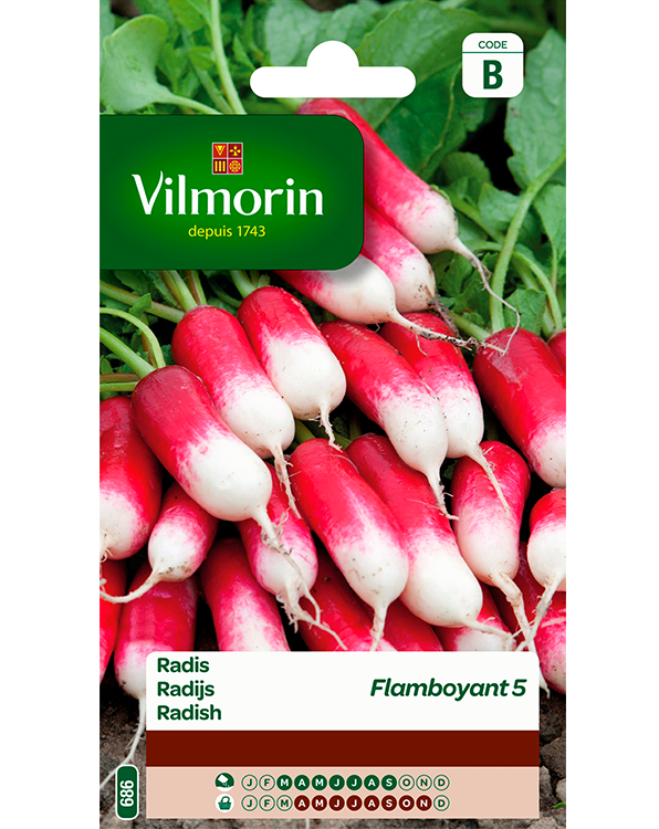 Vilmorin Radijszaad Flamboyant 10g