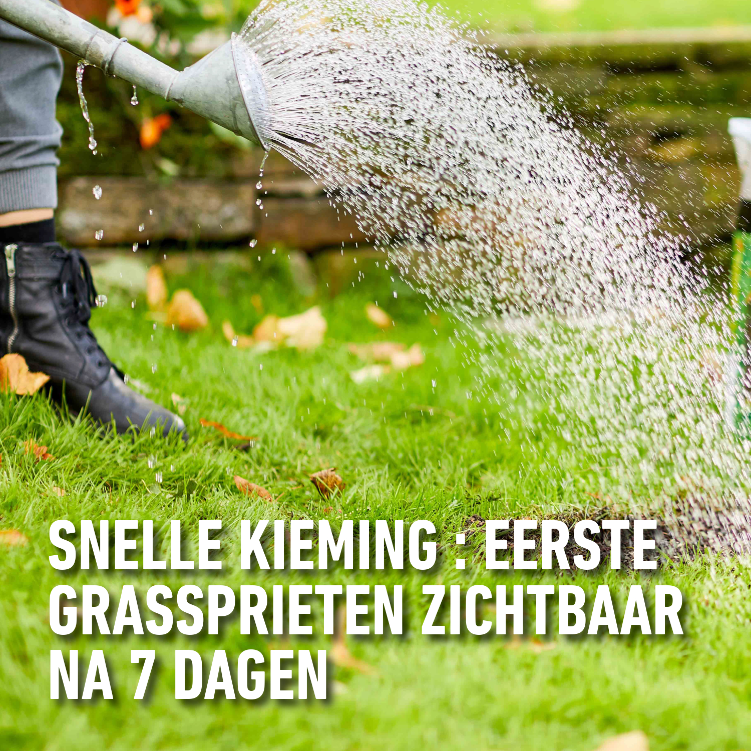 Herstellen van beschadigd gazon | Compo Complete mix 4 in 1 | 4kg