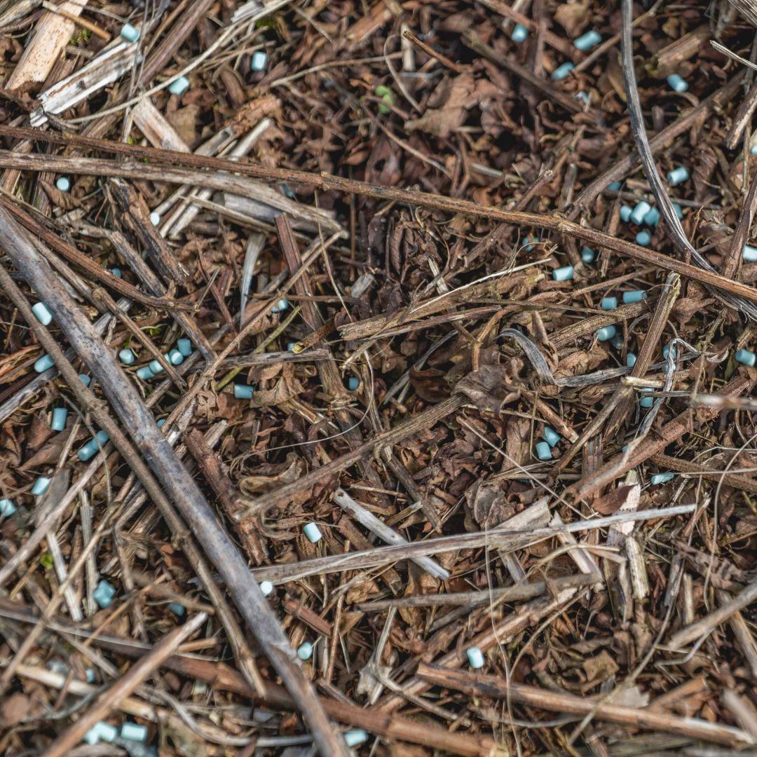 Escar-Go slakkenkorrels voor effectieve en veilige slakkenbestrijding! 🐌
