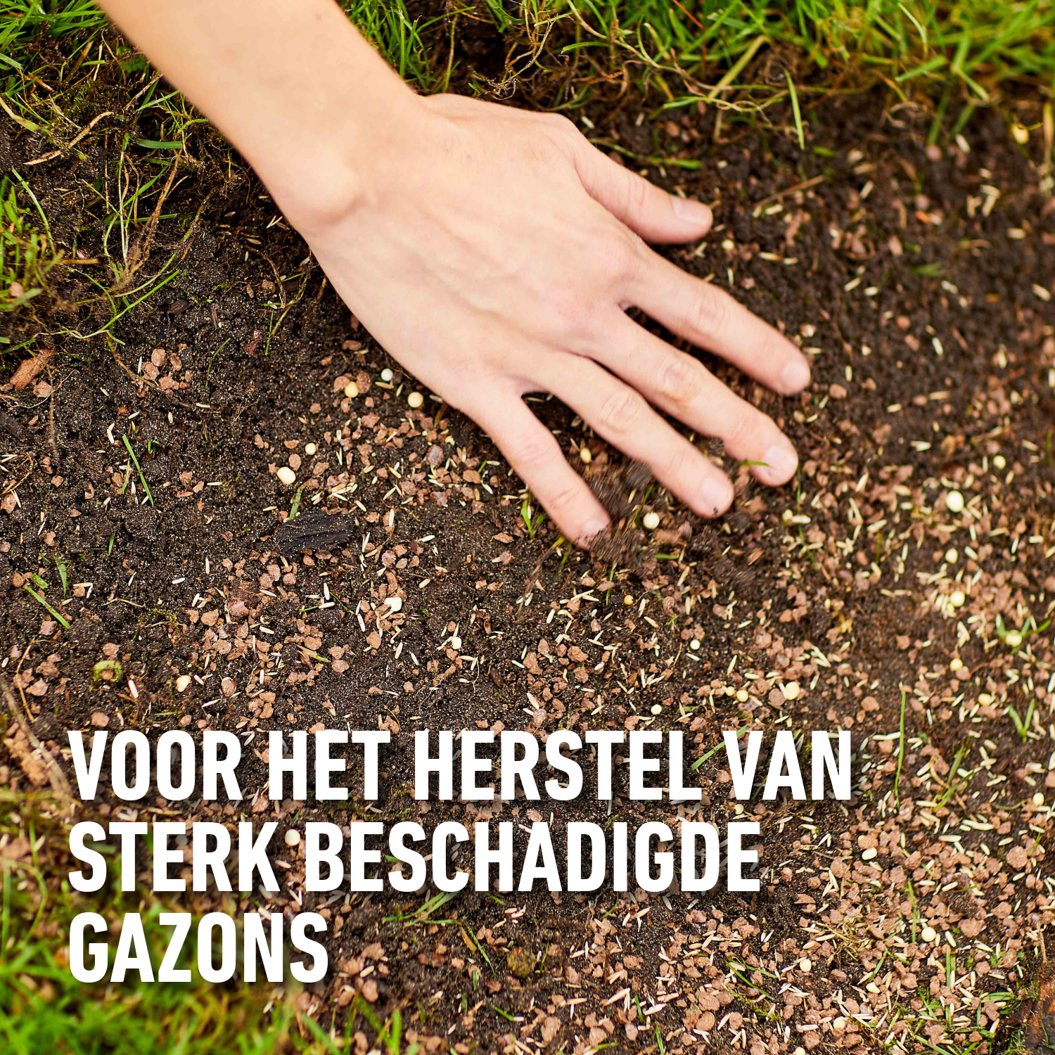 Herstellen van beschadigd gazon | Compo Complete mix 4 in 1 | 4kg