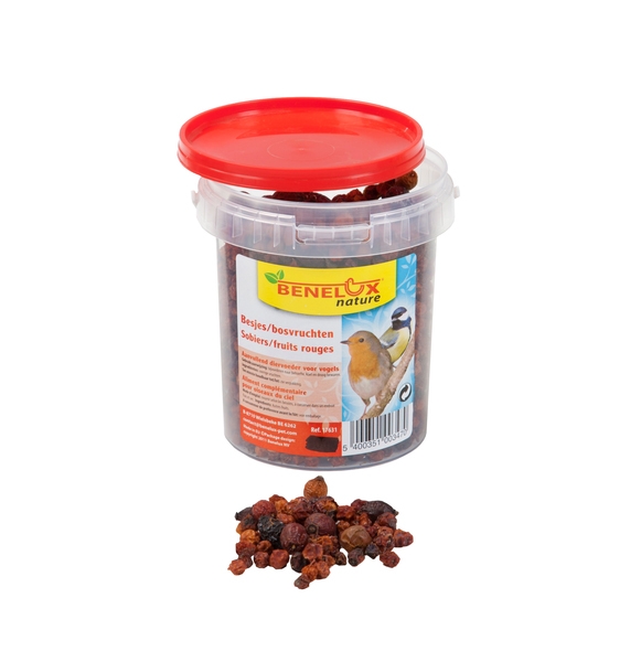 Bessenmix voor vogels 300 g