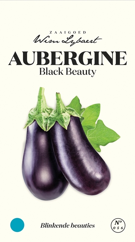 Wim Lybaert aubergine zaden: Black Beauty - Donkere, glanzende aubergines met romig vruchtvlees, ideaal voor diverse gerechten.