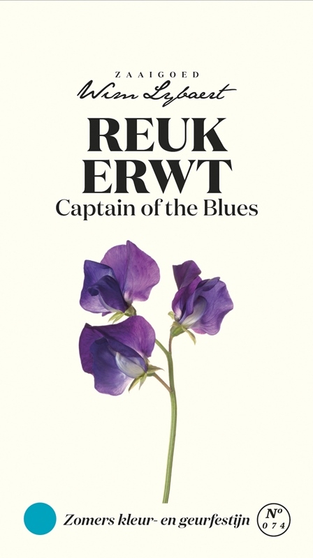 Wim Lybaert bloemzaden: Reukerwt Captain of the Blues - Paarse reukerwten met een heerlijke geur, perfect voor zomerboeketten.