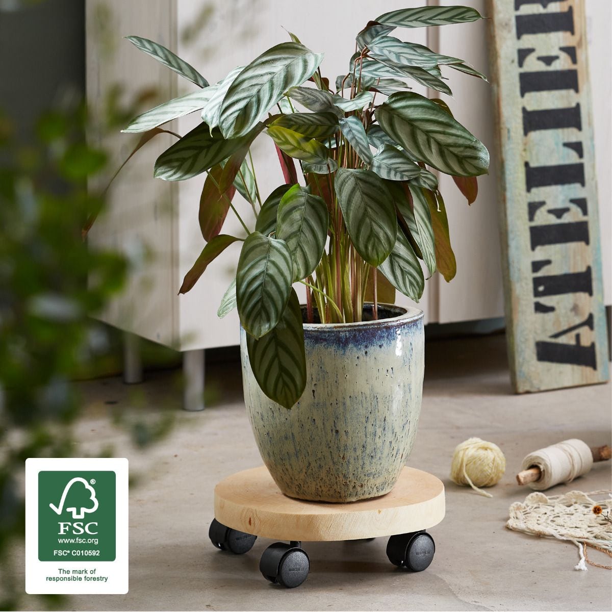 Houten Plantentrolleys Berk 25 - 30 cm