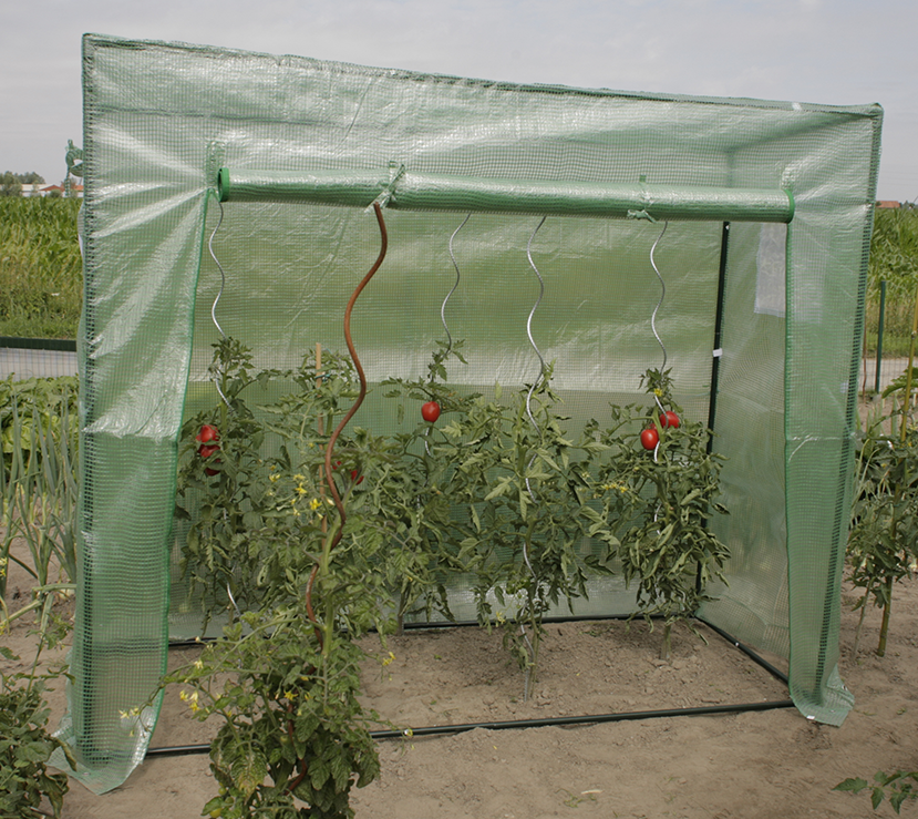 Tomatenserre PremiÃ¨re 196x77x169 cm