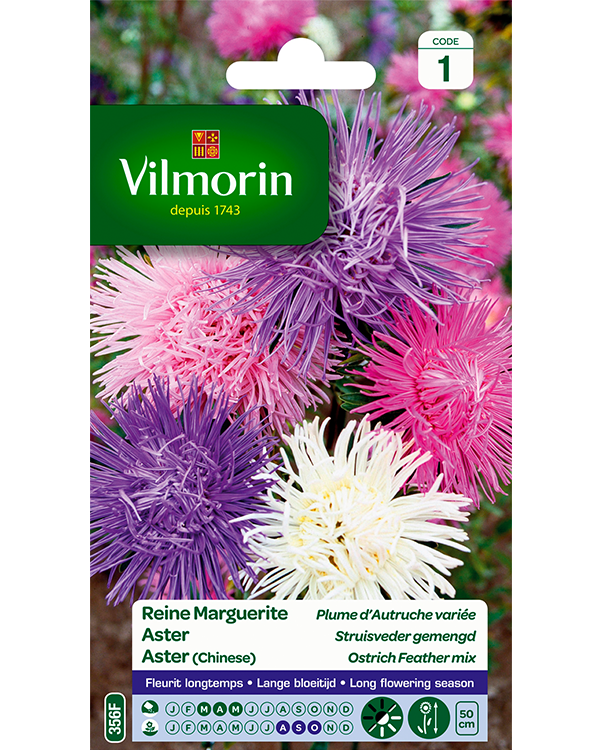 Bloemzaden Aster Struisveder Gemengd 1,5g