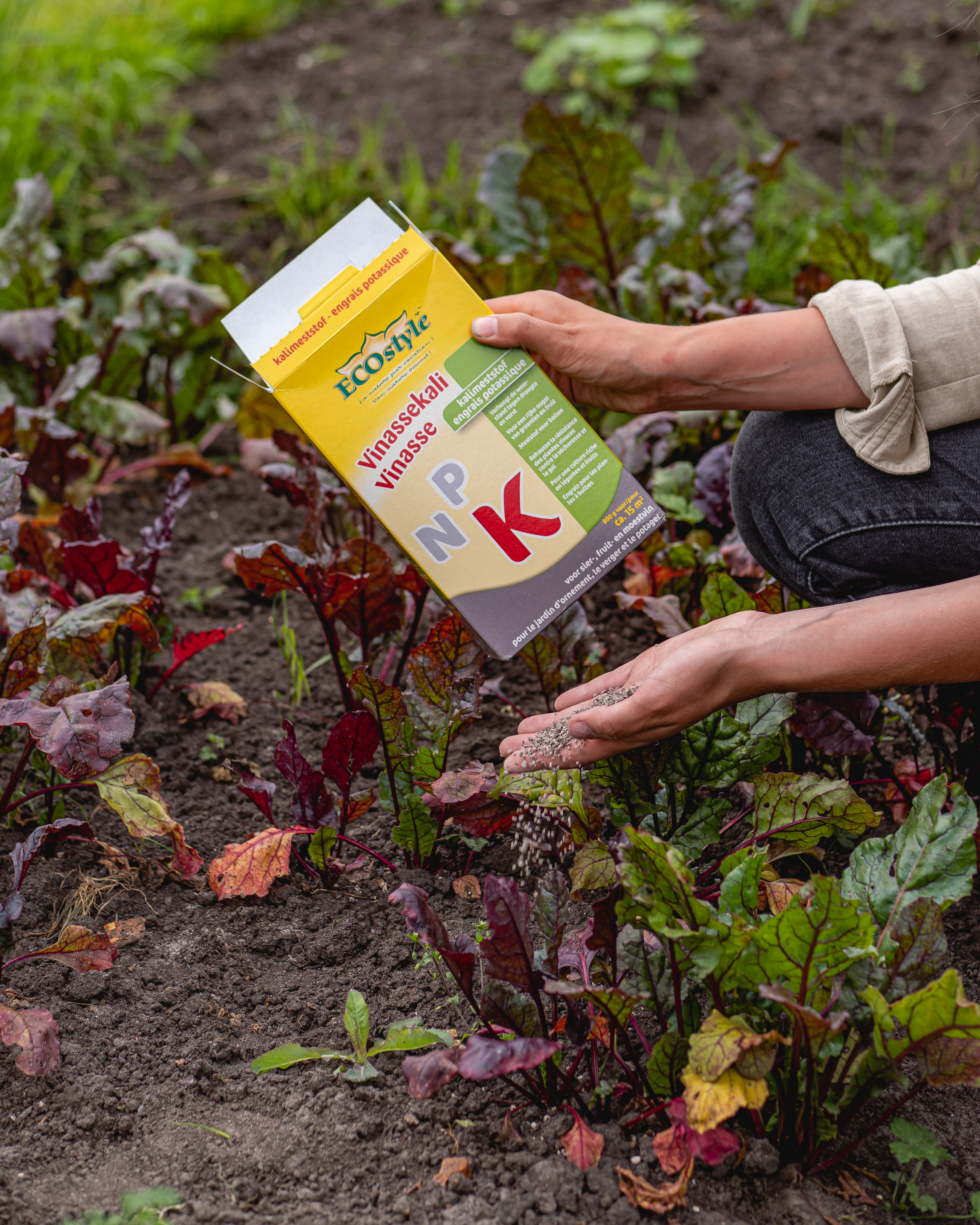 Ecostyle Vinassekali voor kaliumtekort - moestuin | 15m² 