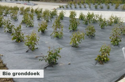 Bio gronddoek Ökolys - Composteerbaar 4.15 x 100m