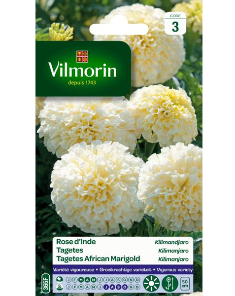 Bloemzaden Tagetes Kilimanjaro 0,2g
