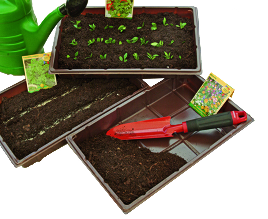 Stekschaal Indoor 3 stuks