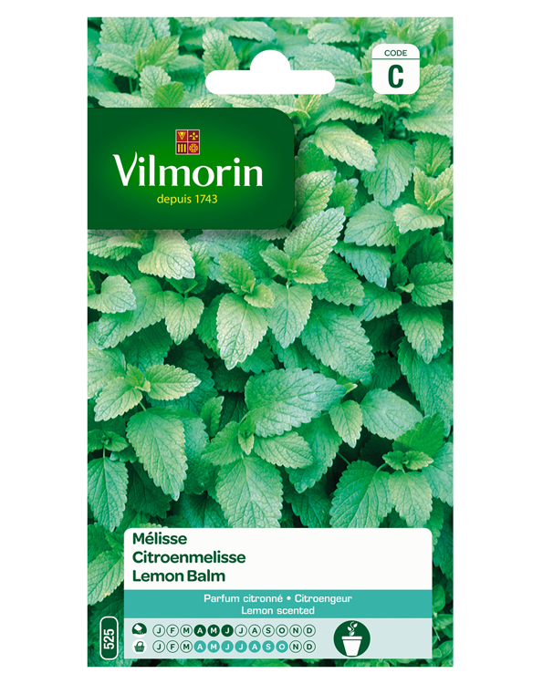 Vilmorin zaden Citroenmelisse
