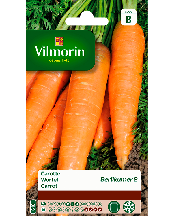 Vilmorin Wortel zaden Berlikumer 2 6g