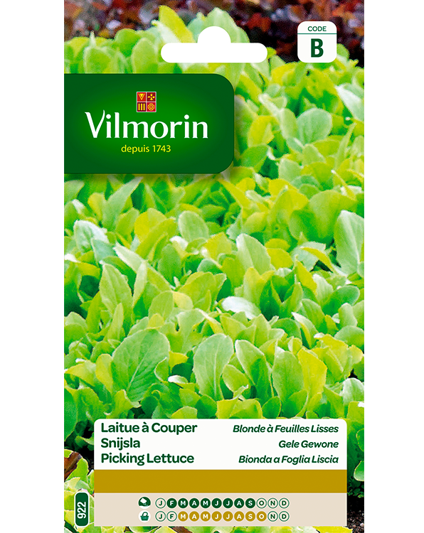Vilmorin Snijsla zaden Gele Gewone 4g