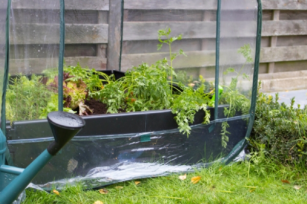 Mini moestuin Caréo Folie tunnel