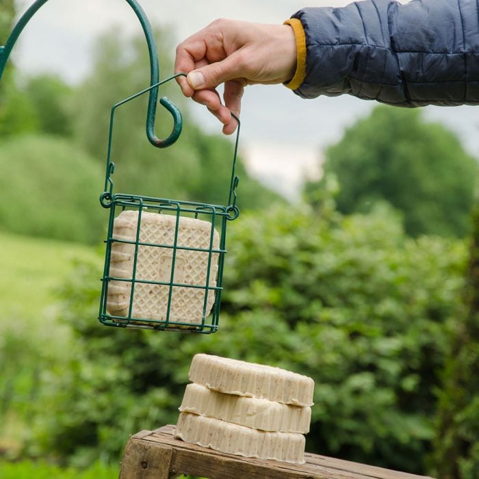 Insecten vetblok Natuurpunt 350g