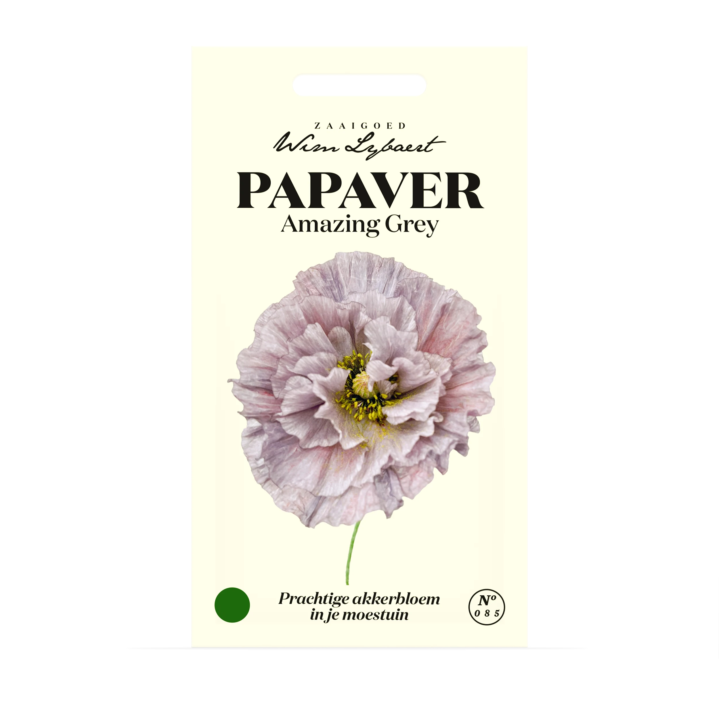 Wim Lybaert bloemzaden |  Papaver Amazing Grey Wim Lybaert bloemzaden |  Papaver Amazing Grey