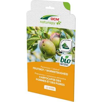 Biologische bestrijding van de kleine wintervlinder met DCM Naturapy feromonen (2 stuks).