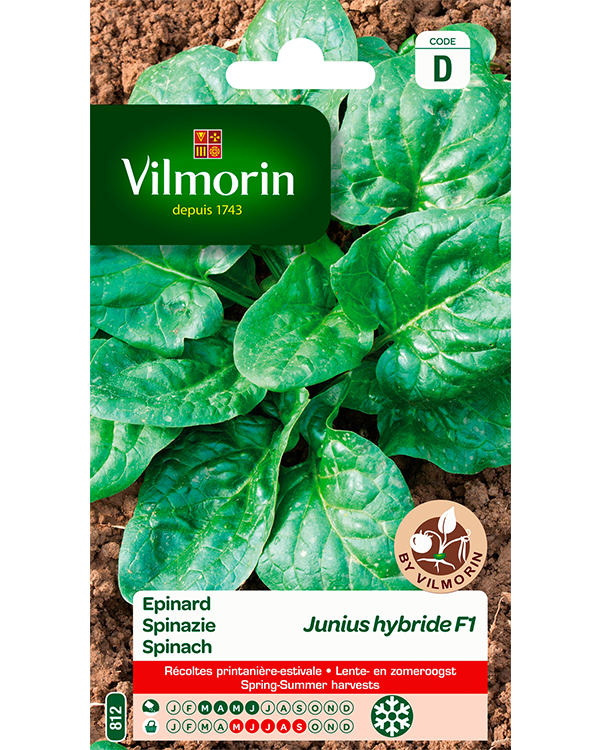 Vilmorin Spinazie zaden Junius 15g