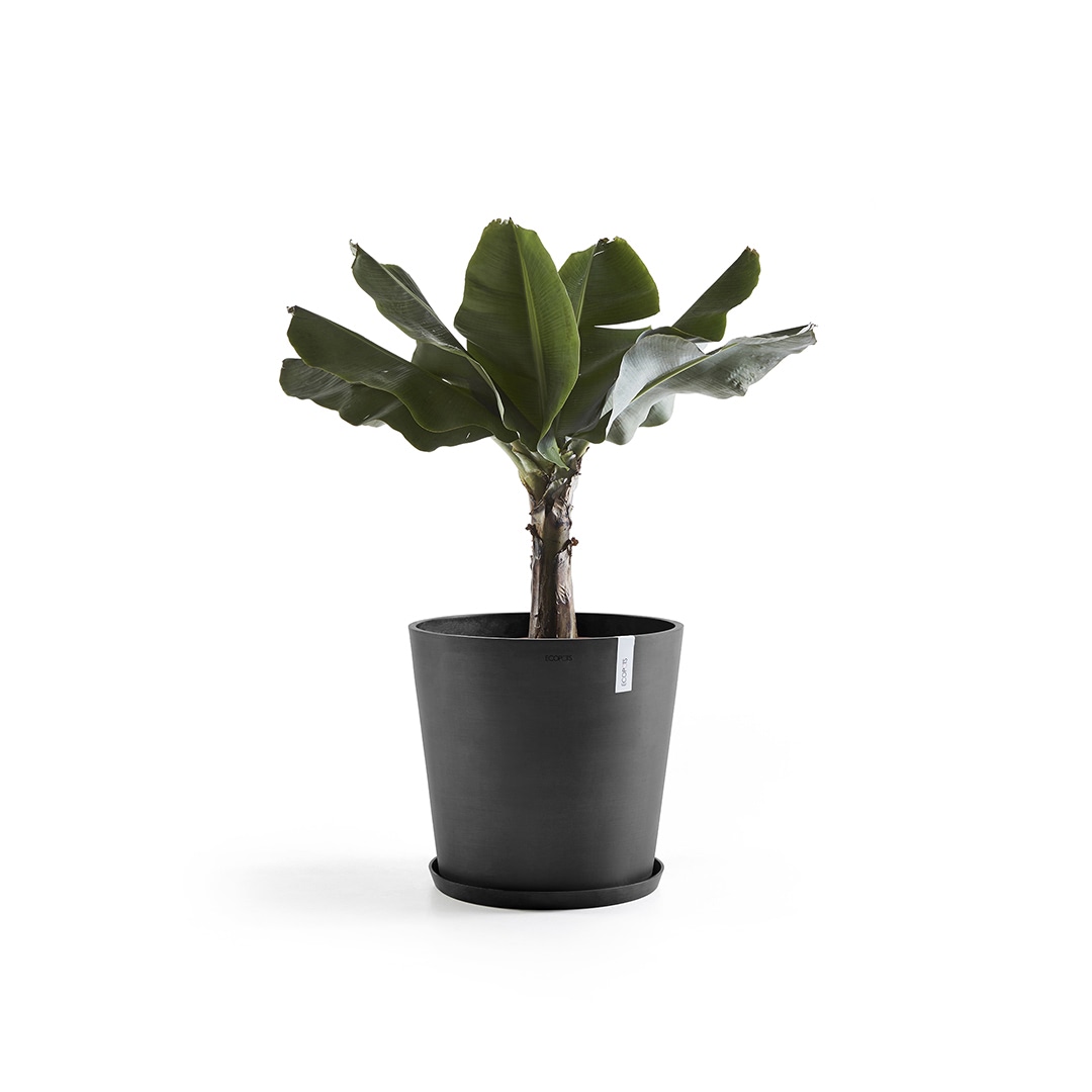 Ecopots Amsterdam Grote ronde bloempot Dark Grey 60