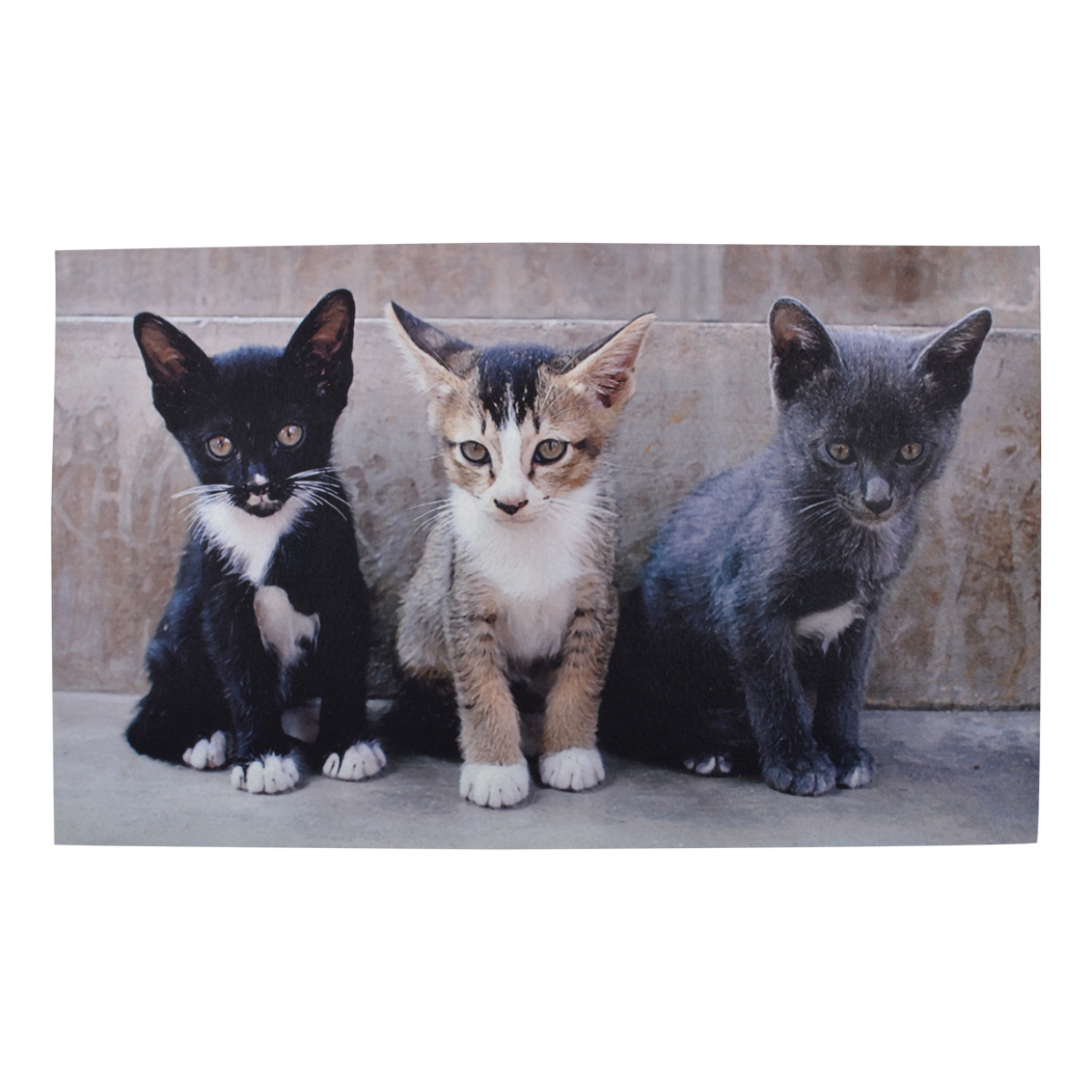 Een rechthoekige deurmat met een fotoprint van drie kittens die naast elkaar zitten.