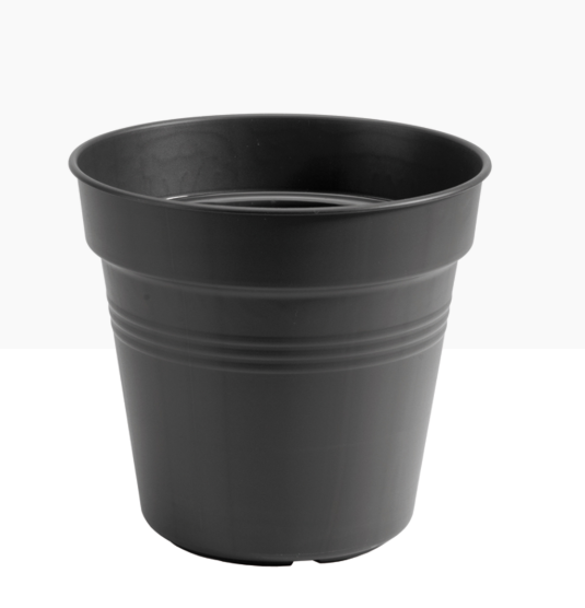 Elho Green Basics Kweekpot 11cm zwart