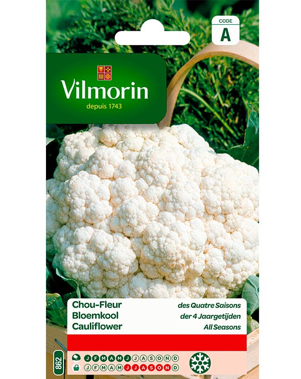Vilmorin Bloemkool zaden Wonder der 4 Jaargetijden 0,8g
