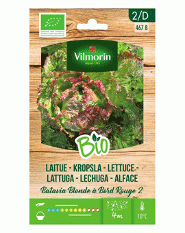 Bio groenten zaden Kropsla Batavia Blonde ą Bord Rouge 1g