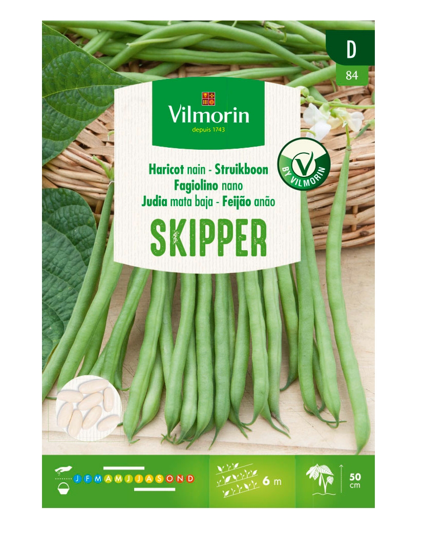 Vilmorin zaden Struikboon Skipper 20 g
