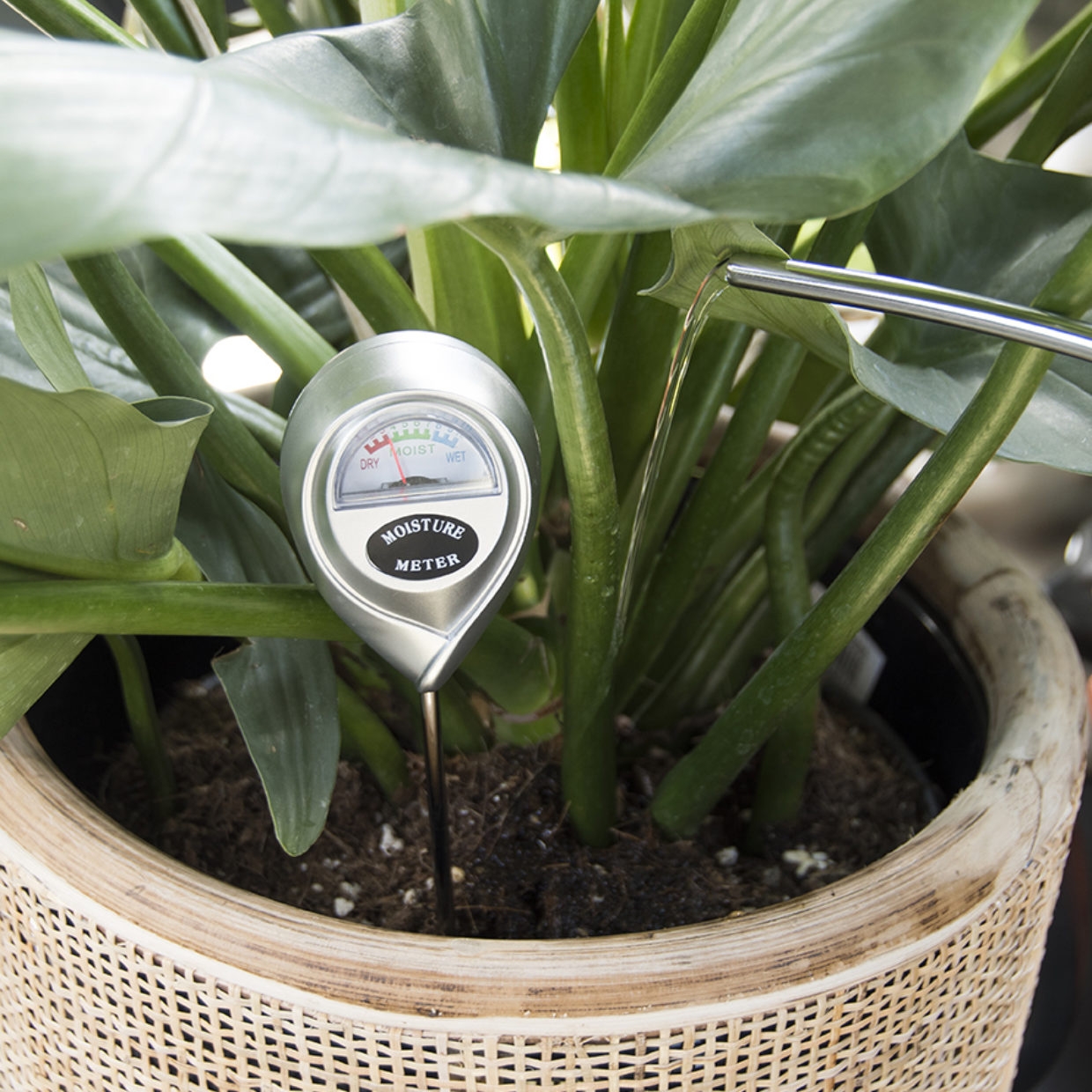 Esschert Design - Hygrometer voor potgrond kamerplanten