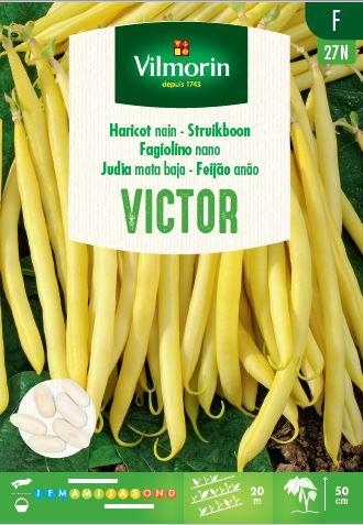Vilmorin Zaden Lage Boterboon Victor 
