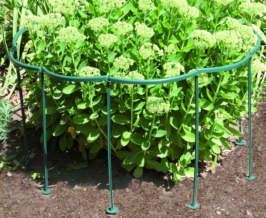 Plantensteun set universeel