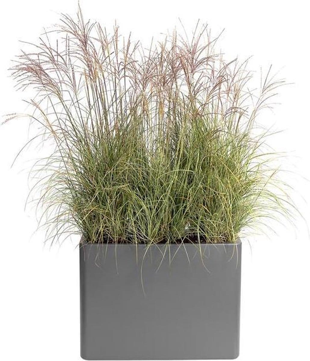 Plantenbak Elho Pure Soft Brick Divider 80cm Large