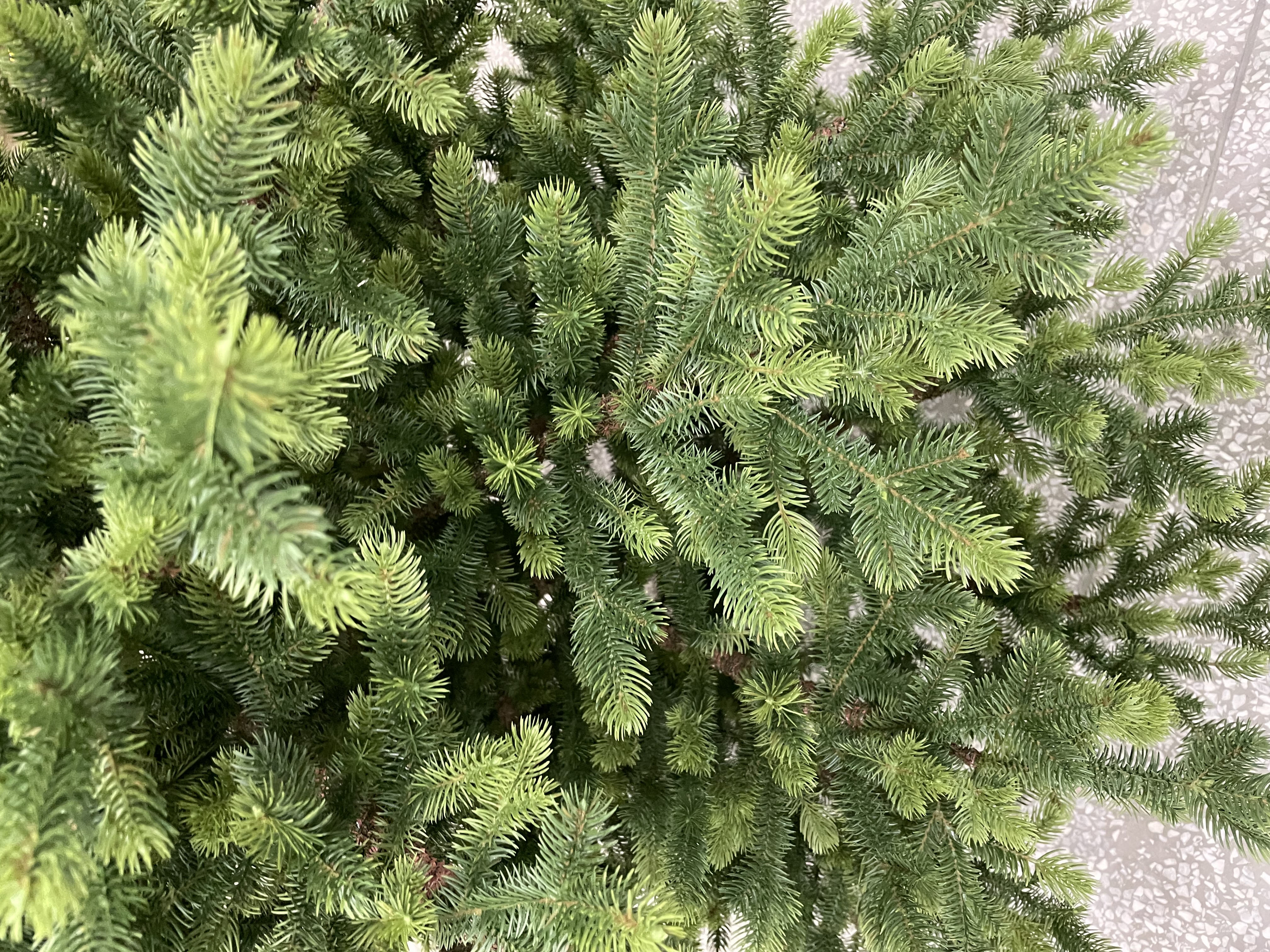 kunstkerstboom Normdann look – Royale volle kerstboom met houten voet (228 cm)