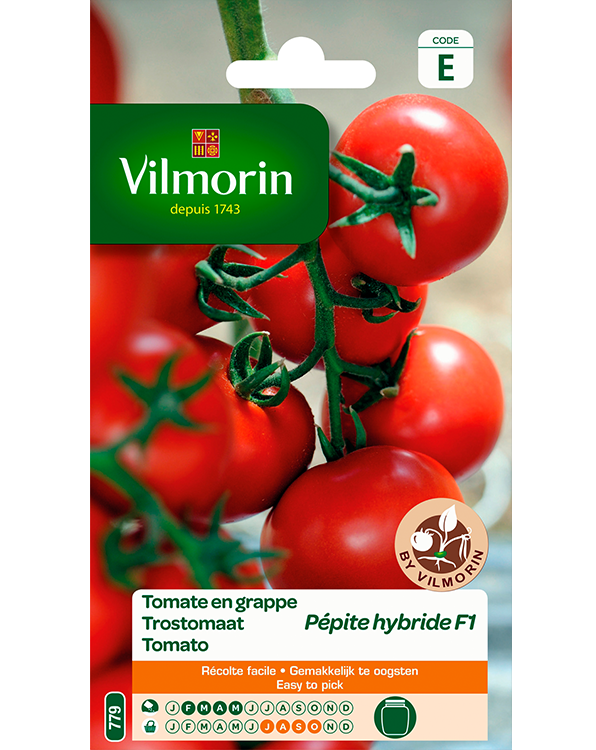 Vilmorin Trostomaat zaden Pepite 0,15g