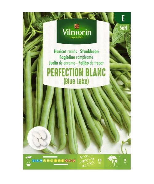 Vilmorin staakboon zaden Blue lake 100 g