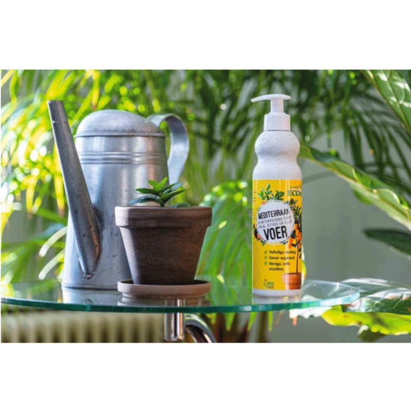 Een fles Ecostyle MediterraanVoer plantenvoeding staat op een glazen tafel naast een terracotta pot met een kleine plant en een gieter. De achtergrond is gevuld met weelderig groen.