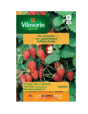 Vilmorin aardbei zaden 4 seizoenen suprême