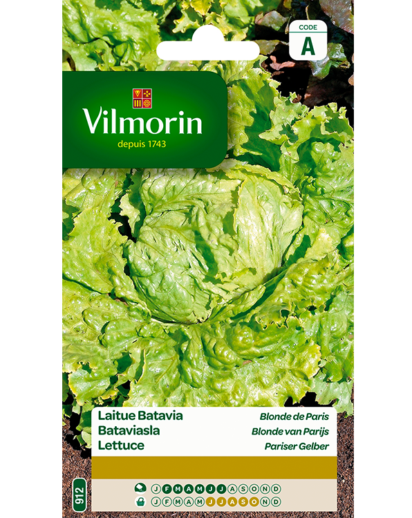 Vilmorin Zaden Bataviasla Blonde Van Parijs 4g