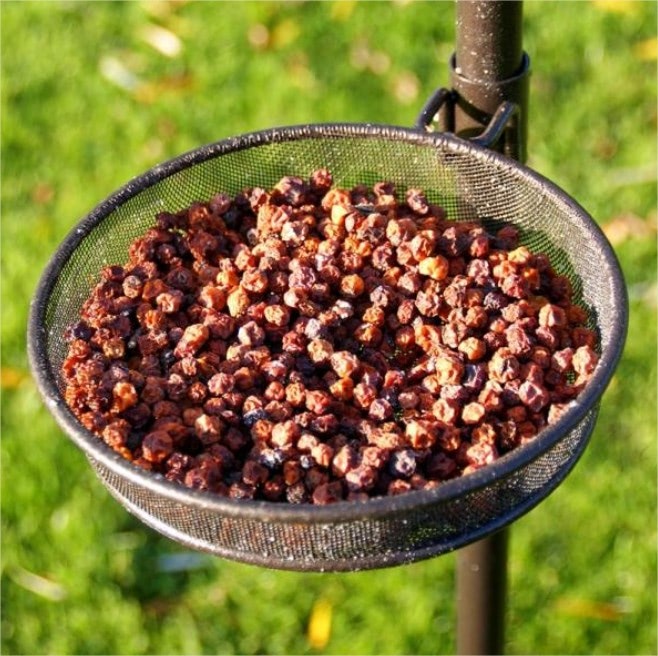 Bessenmix voor vogels 300 g